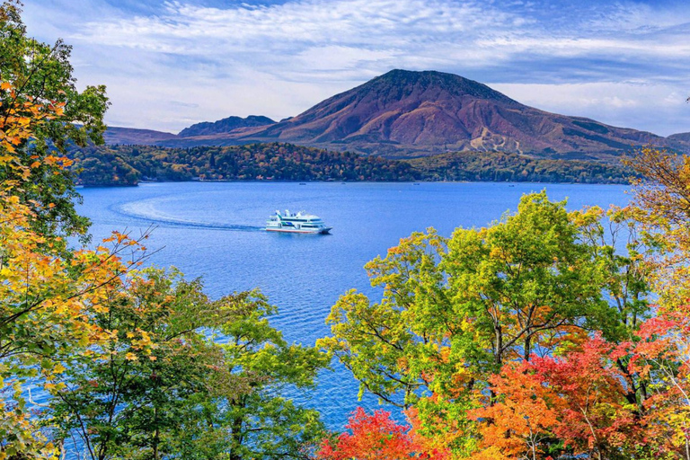 From Tokyo Mount Fuji Private Customizable Tour with Guide