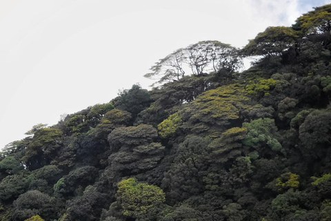 Kandy: Five Peaks Cloud Forest Adventure