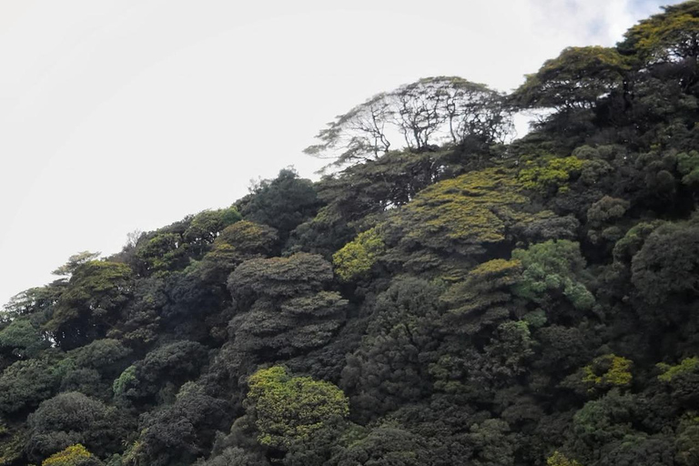 Kandy: Five Peaks Cloud Forest Adventure