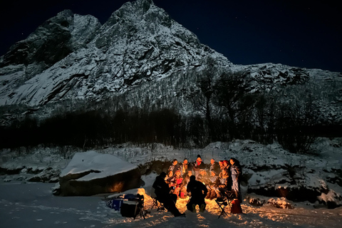 Tromsø: Zorza polarna w centrum uwagi, niemiecki/angielski, minibus, posiłek