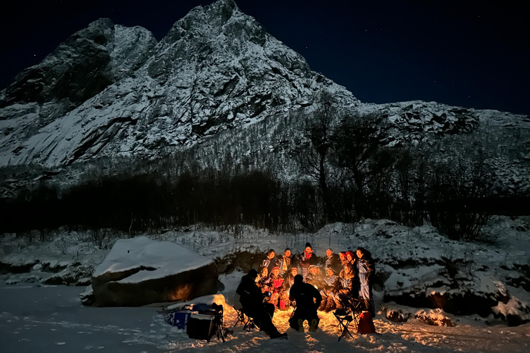 Tromsø: Zorza polarna w centrum uwagi, niemiecki/angielski, minibus, posiłek