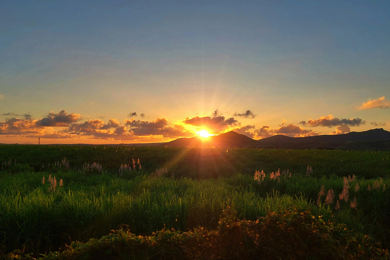 San Alfredo: Nature Horse Riding Experience