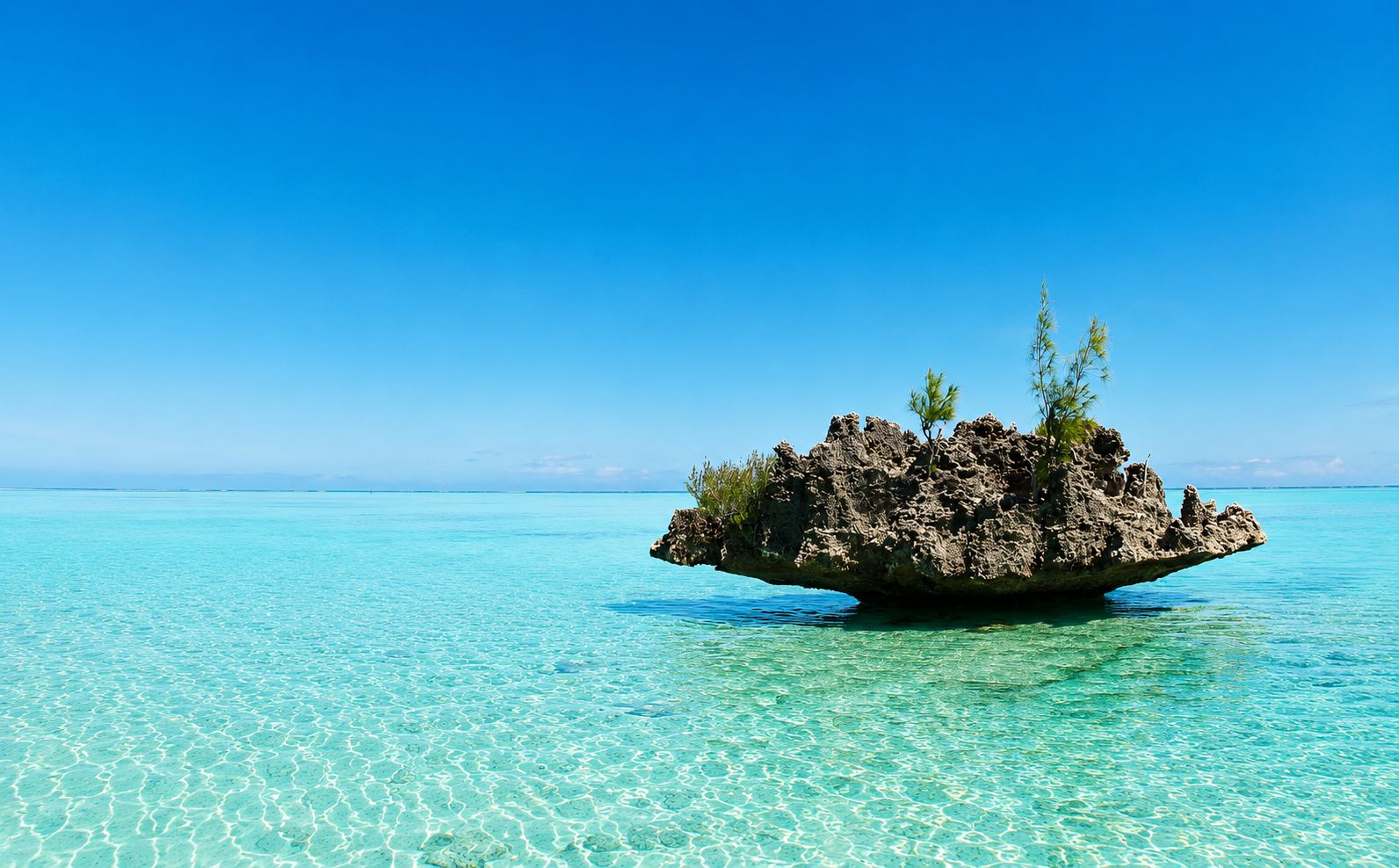 Mauritius: Delfine, Crystal Rock & Katamaran-Barbecue-Bootsfahrt