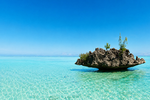 Mauritius: Dolphins, Crystal Rock & Catamaran BBQ Cruise