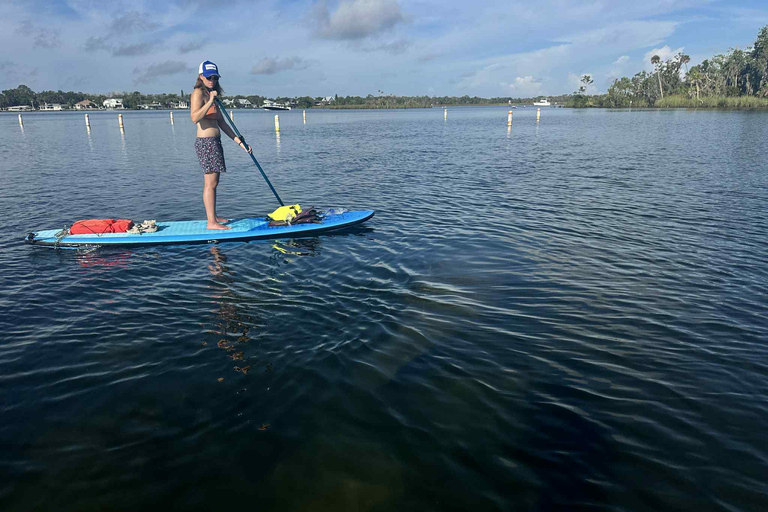Three Sisters Clear Kayak and Snorkeling Manatee Tour