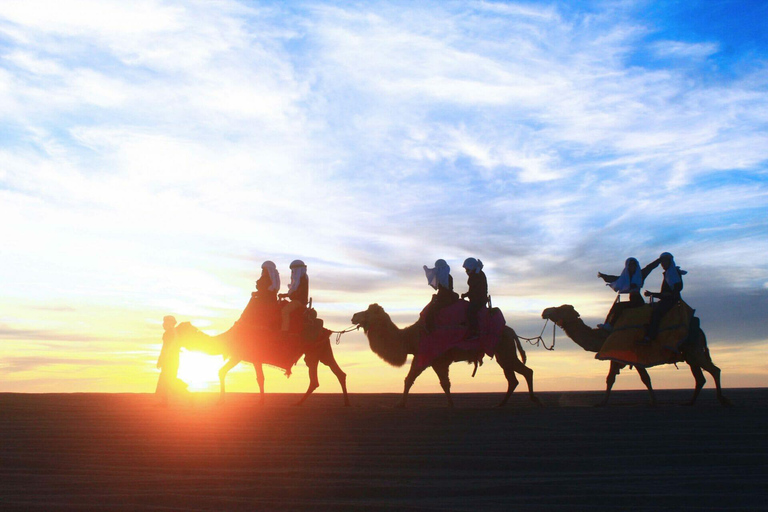 Cabo San Lucas : Balade à dos de chameau sur la plage
