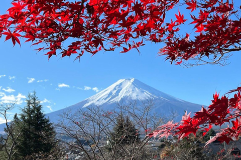 Tokyo: Full-day tour of the four Majestic spots of Mt Fuji