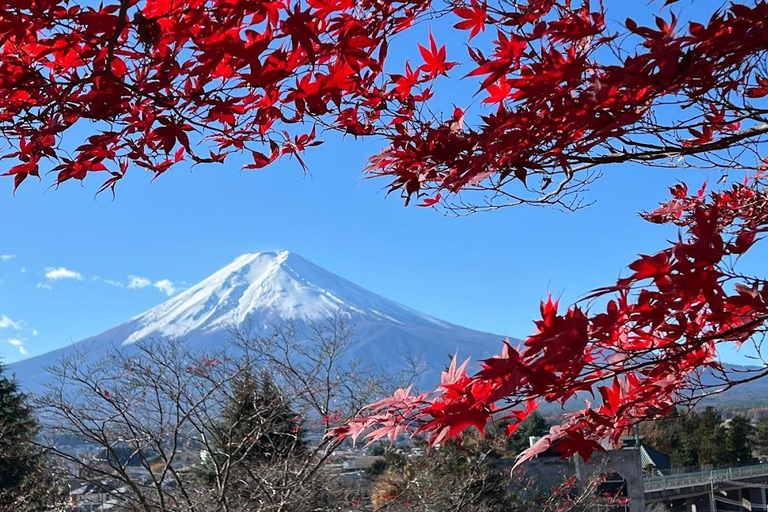 Tokyo: Full-day tour of the four Majestic spots of Mt Fuji