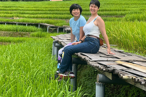 Les étonnantes rizières en terrasse de Ban Pa Pong Pieng. (Privé)