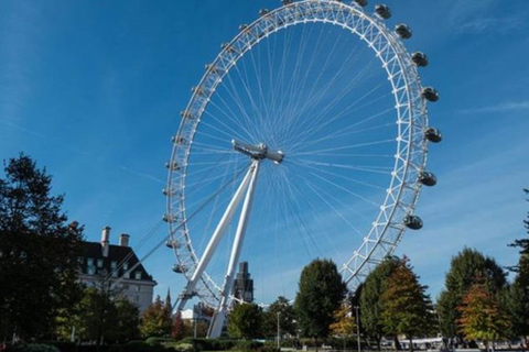 London: Westminster Walking Tour & London Eye Ticket
