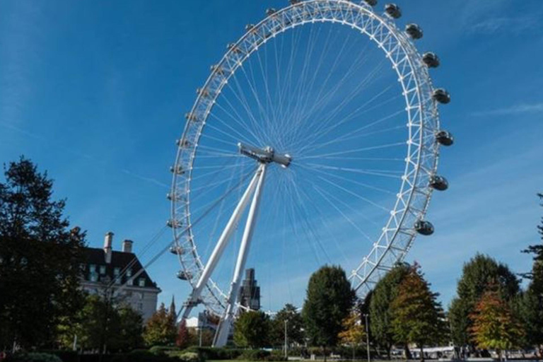 London: Westminster Walking Tour & London Eye Ticket