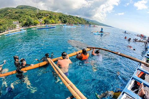 Da Cebu: Snorkeling con gli squali balena di Oslob e cascata di Tumalog