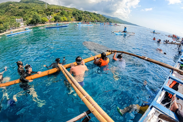 Oslob snorkelen met walvishaaien en Tsumalog waterval