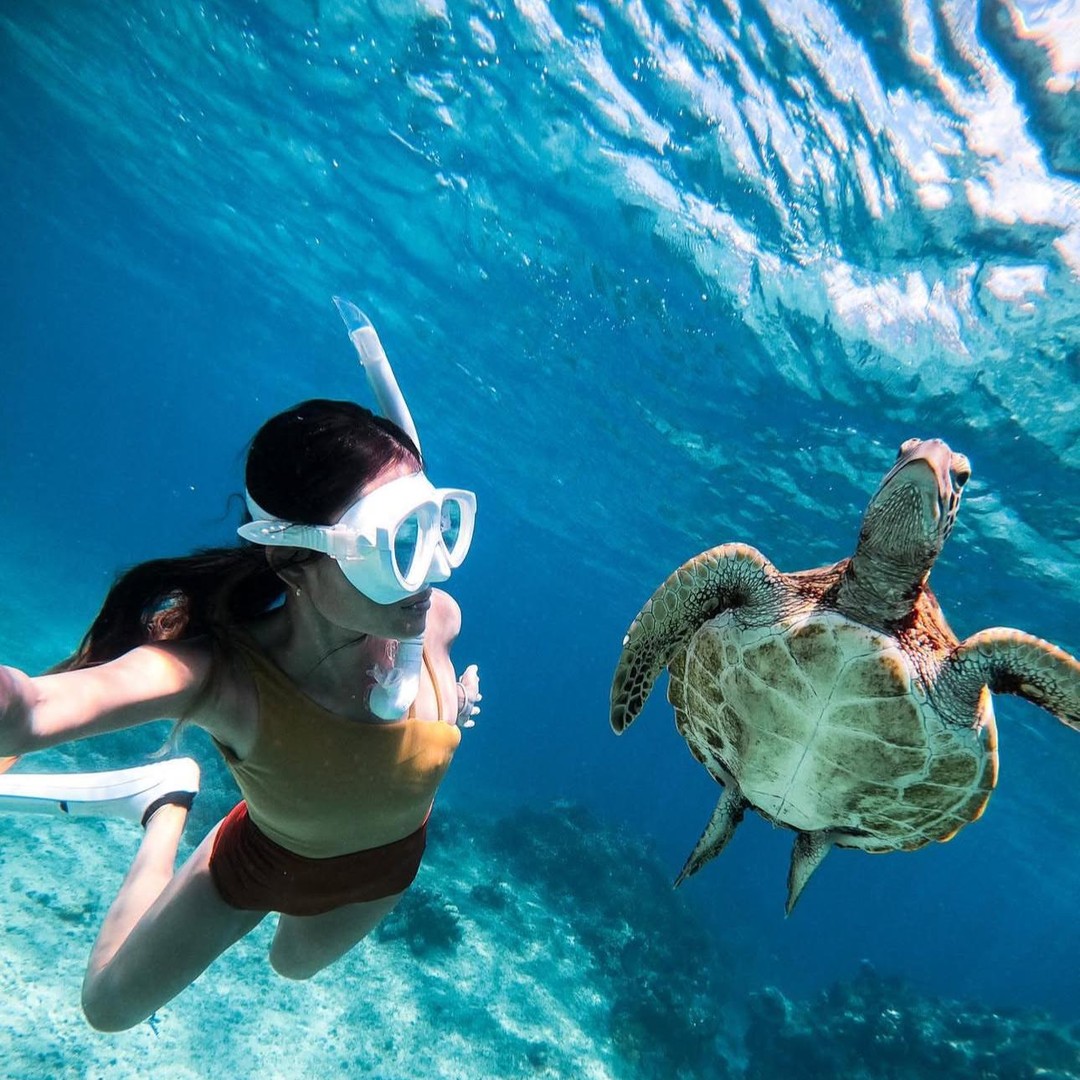 英超联赛: 水晶宫VS 曼彻斯特城曼城洗刷耻辱2024-25赛季足总杯决赛的重演即将上演，水晶宫与曼城将在周日于塞尔赫斯特公园球场展开一场事关英超前四的焦点对决。  更多资讯评论讨论\u0026赛后成绩视频请游览：https://t.me/TheFootballBook 两支球队在周中的欧战中均有出色表现 ..., image size:1080x1080