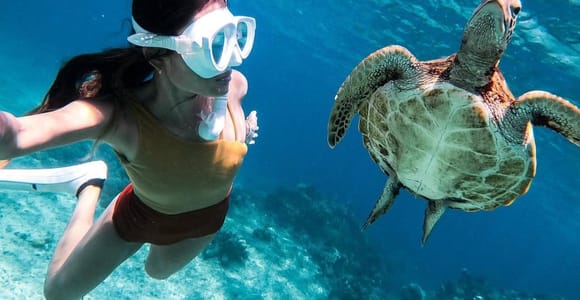 Bohol Dolphin Watching & Sea Turtle Swim Island Hopping Tour