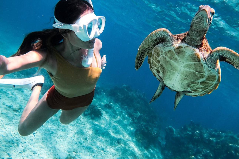 Bohol Dolphin Watching & Sea Turtle Swim Island Hopping Tour Pier – Meet-up Point