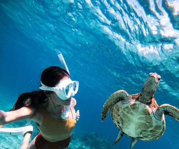 Bohol: Nade com tartarugas marinhas e golfinhos – Excursão pelas ilhas