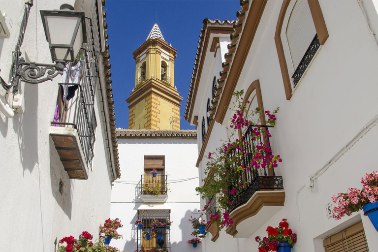 I segreti meglio custoditi di Estepona: Tour guidato della città in bicicletta