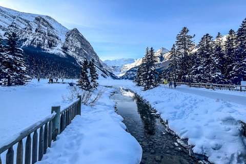 Emerald Lake, Wapta Falls, and Takakkaw Falls Tour in Banff