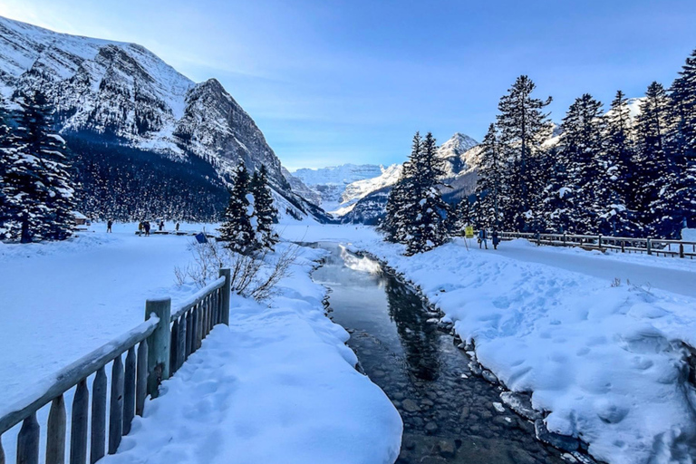Emerald Lake, Wapta Falls, and Takakkaw Falls Tour in Banff