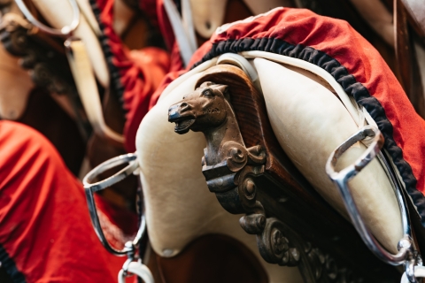 Vienne : visite guidée de l'École espagnole d’équitationVisite guidée en allemand