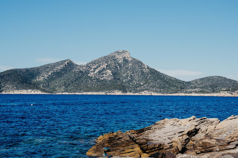 Majorca: Visit the Natural Park of Dragonera Island by boat