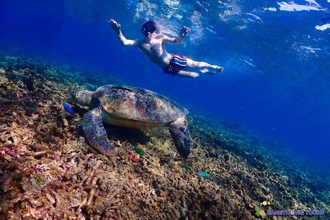 Koh Tao: Excursão de um dia com mergulho com snorkel nas ilhas e almoçoKoh Tao: Ilhas Snorkeling Destaques Day Tour &amp; Almoço