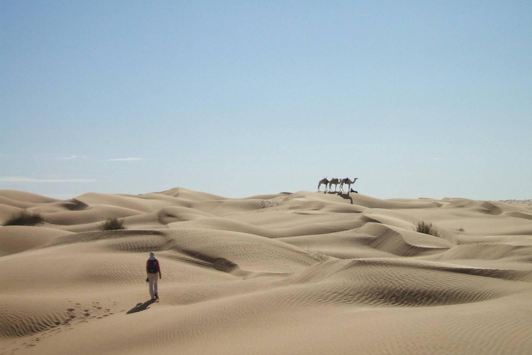 From Tunis: 3-Day Sahara Desert &amp; Bivouac Tour3-Day Sahara Desert &amp; Bivouac Tour in Tunisia