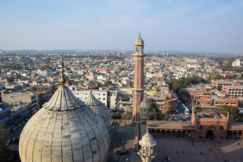 Delhi : Visite privée des temples de Delhi avec promenade en pousse-pousseDelhi : Visite privée des temples et sites spirituels de Delhi