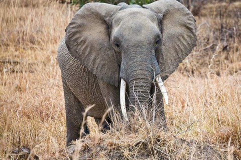 Daressalam: 5-tägige Safari im Süden