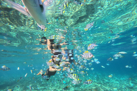Gili Trawangan: Private Turtle Snorkeling Tour with GoPro 2-Hours Private Snorkeling Tour Turtle & Gopro