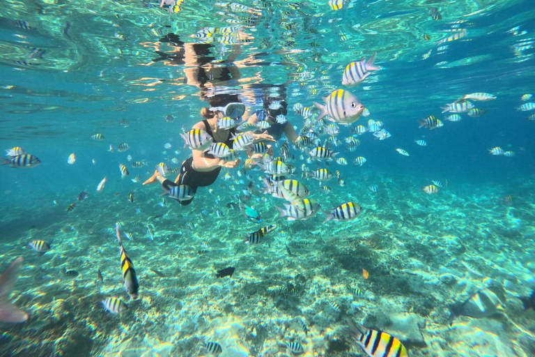 Gili Trawangan: Private Turtle Snorkeling Tour with GoPro 2-Hours Private Snorkeling Tour Turtle & Gopro