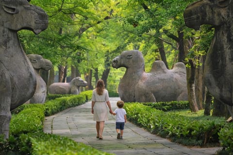 Nanjing:Must-See Attractions in One Day+Customized Itinerary