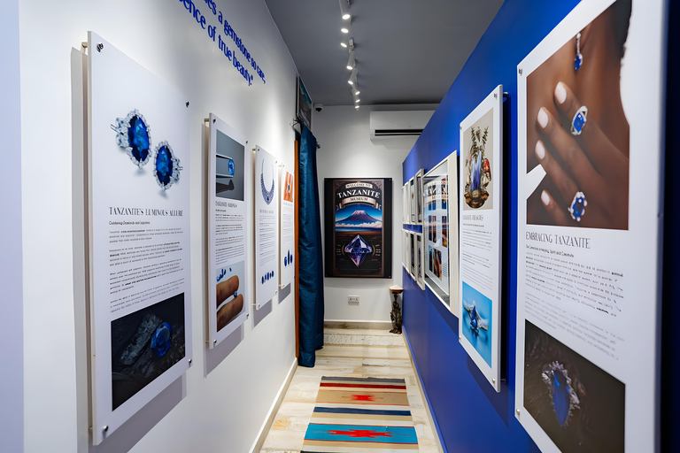 زنجبار: تذكرة دخول متحف التنزانيت ومتجر المجوهراتجولة مع نقطة الالتقاء في مبنى الحصن القديم