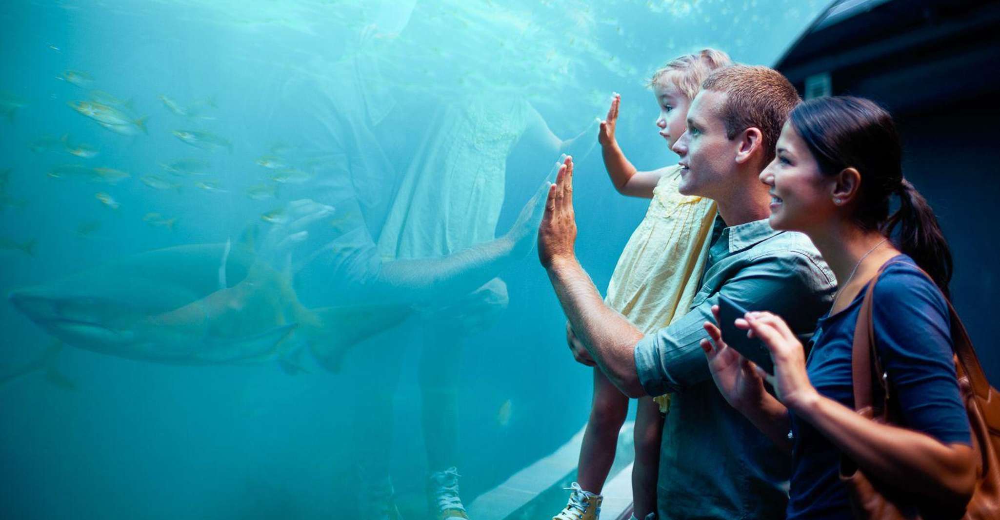 Orlando: SEA LIFE Orlando Aquarium