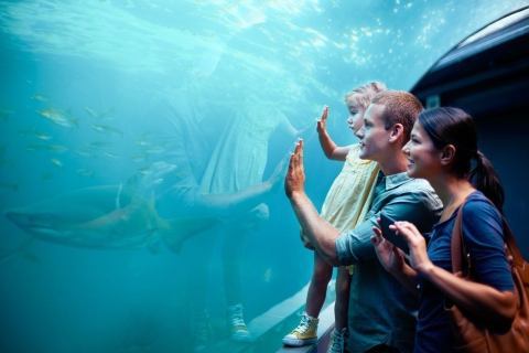 Orlando: Aquarium SEA LIFE OrlandoOrlando: SEA LIFE Orlando Aquarium + virtuele ervaring