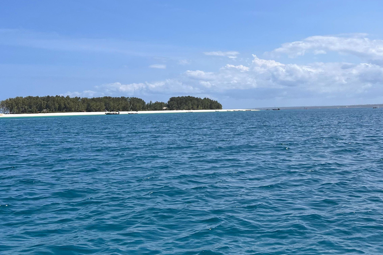 Zanzibar: Mnemba Island Snorkeling Tour Zanzibar: Mnemba Island Snorkeling Tour