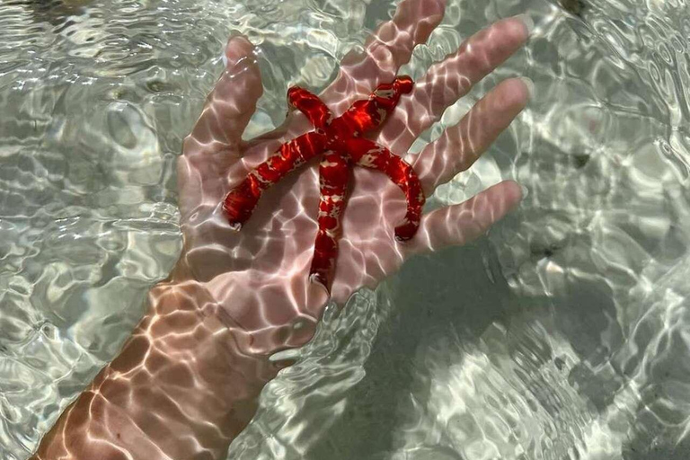 ZANZÍBAR: isla de la Prisión, natación en cuevas y Laguna Azul