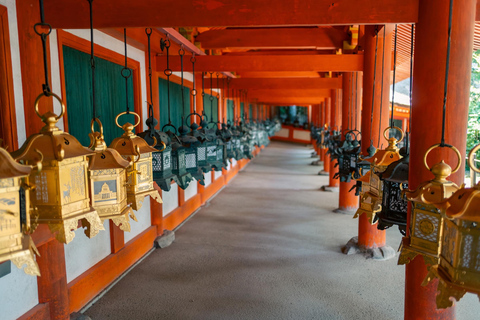 Kyoto: Nara Half-Day Small Group Tour