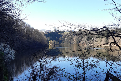 A Day Hike in Mervent Forest (Vendée)