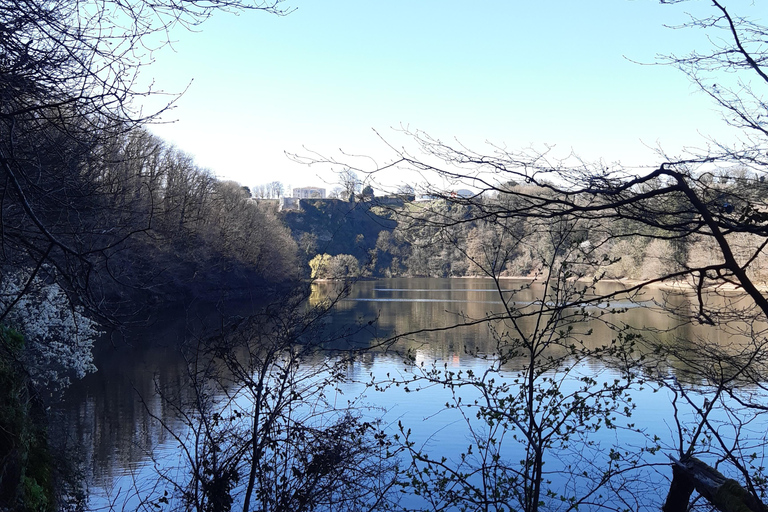A Day Hike in Mervent Forest (Vendée)