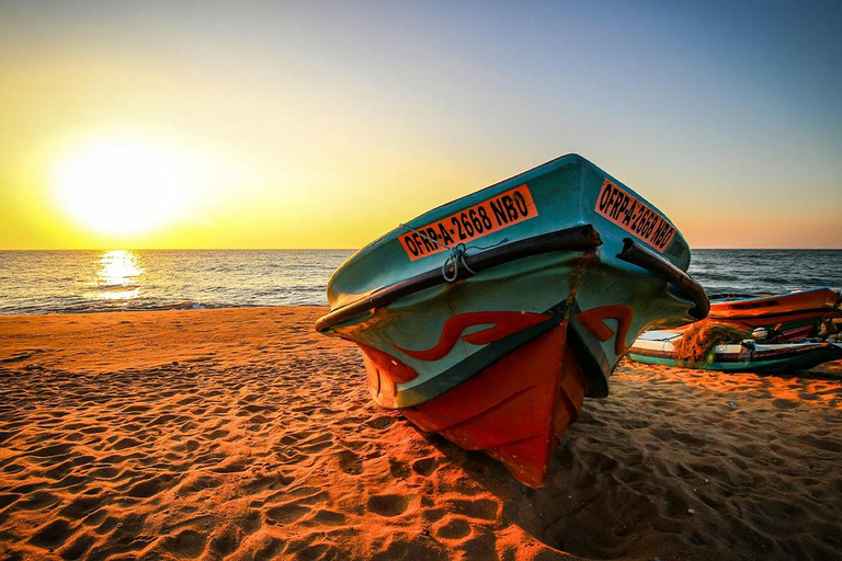 Negombo: Dutch City Exploration