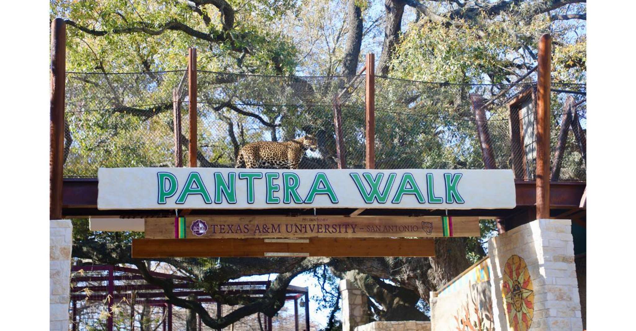 San Antonio Zoo Any Day Ticket photo 8