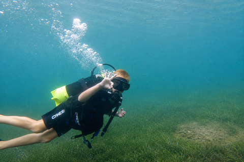 Boka Bay: Intro Scuba Dive or Shipwreck Exploration Intro Dive – Your First Step Into the Underwater World