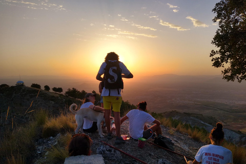 ⭐ Excursión al atardecer y cumbre de Sierra Nevada con cachorro ⭐⭐ Excursión al atardecer y cumbre de Sierra Nevada Excursión privada con cachorro ⭐