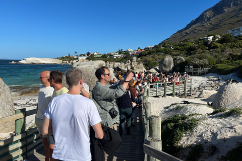 Cape of Good Hope and Penguins Full-Day Private Tour Private tour: Cape of Good Hope and Penguins Full-Day Tour
