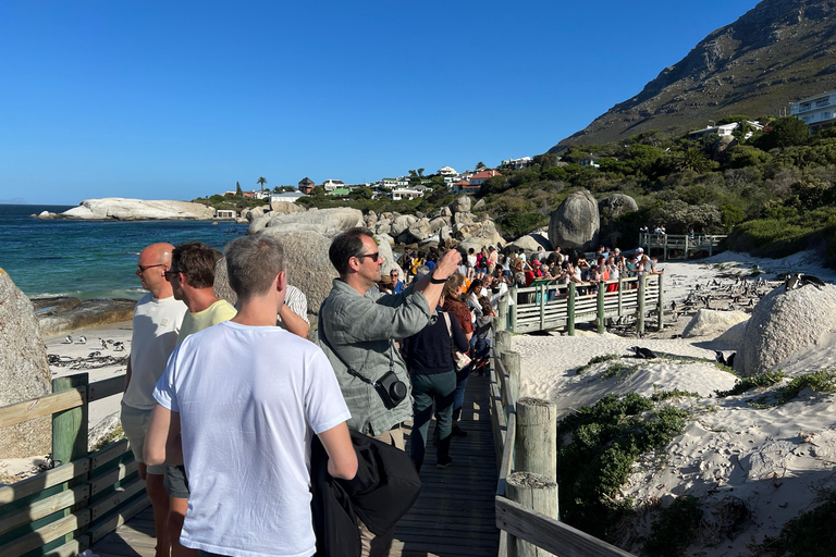 Cape of Good Hope and Penguins Full-Day Private Tour Private tour: Cape of Good Hope and Penguins Full-Day Tour