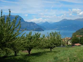Mandello del Lario: Hike across hills and quaint hamlets
