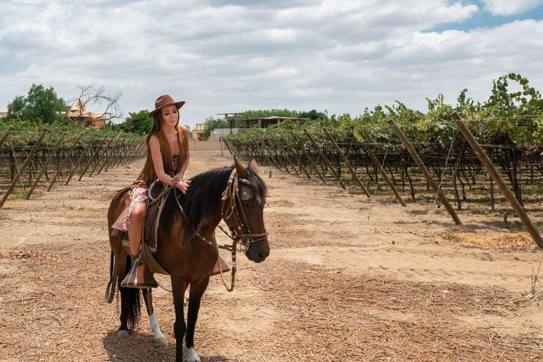 Passeio a cavalo pela Finca La Caravedo, sem degustação