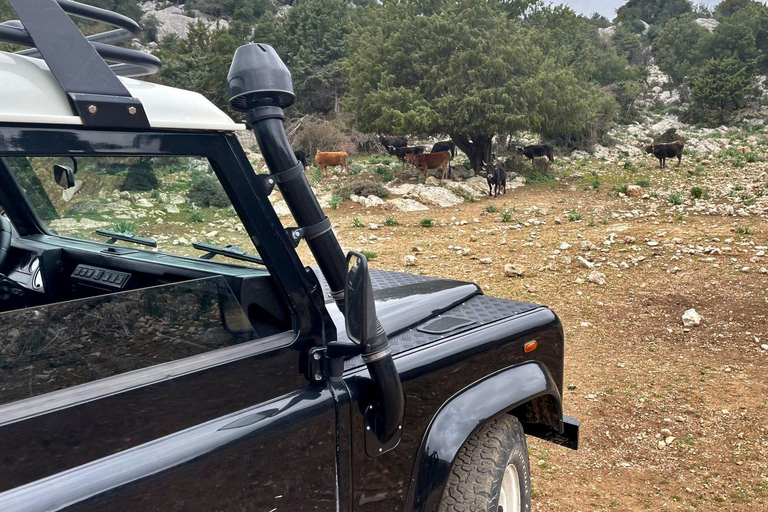 From Cala Gonone: Tiscali Nuragic Village Trekking Tour